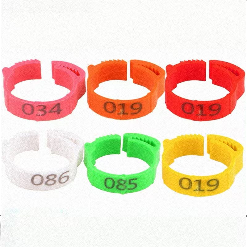 100pcs Chicken Foot Ring Label - Baby Food Label ulasan dan harga