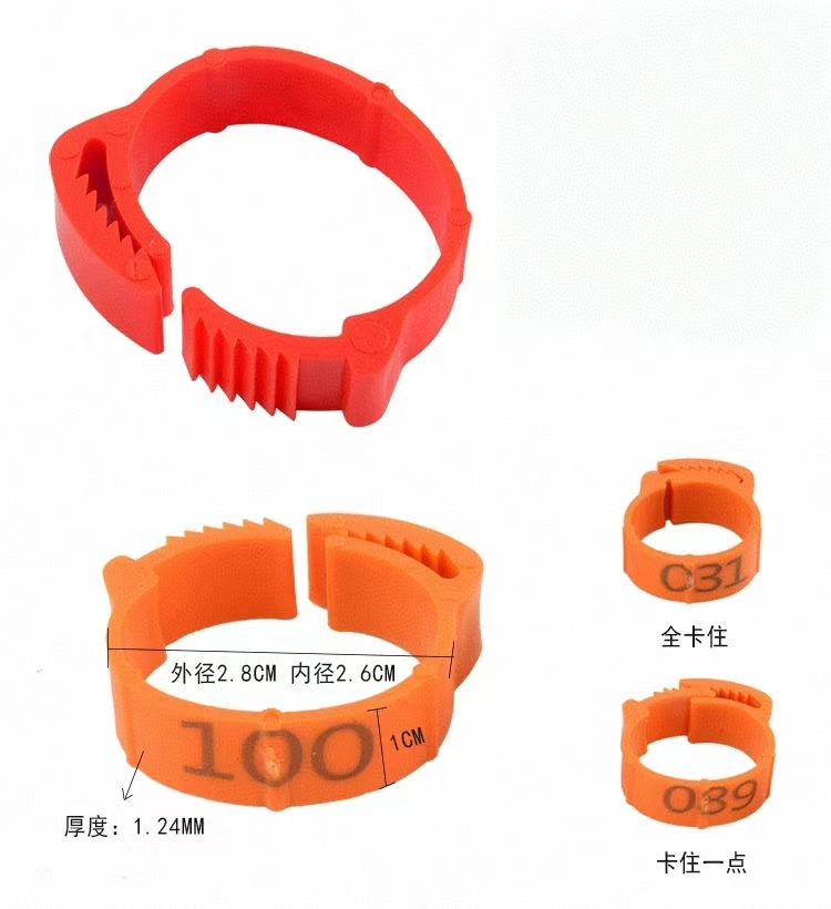 100pcs Chicken Foot Ring Label - Baby Food Label ulasan dan harga