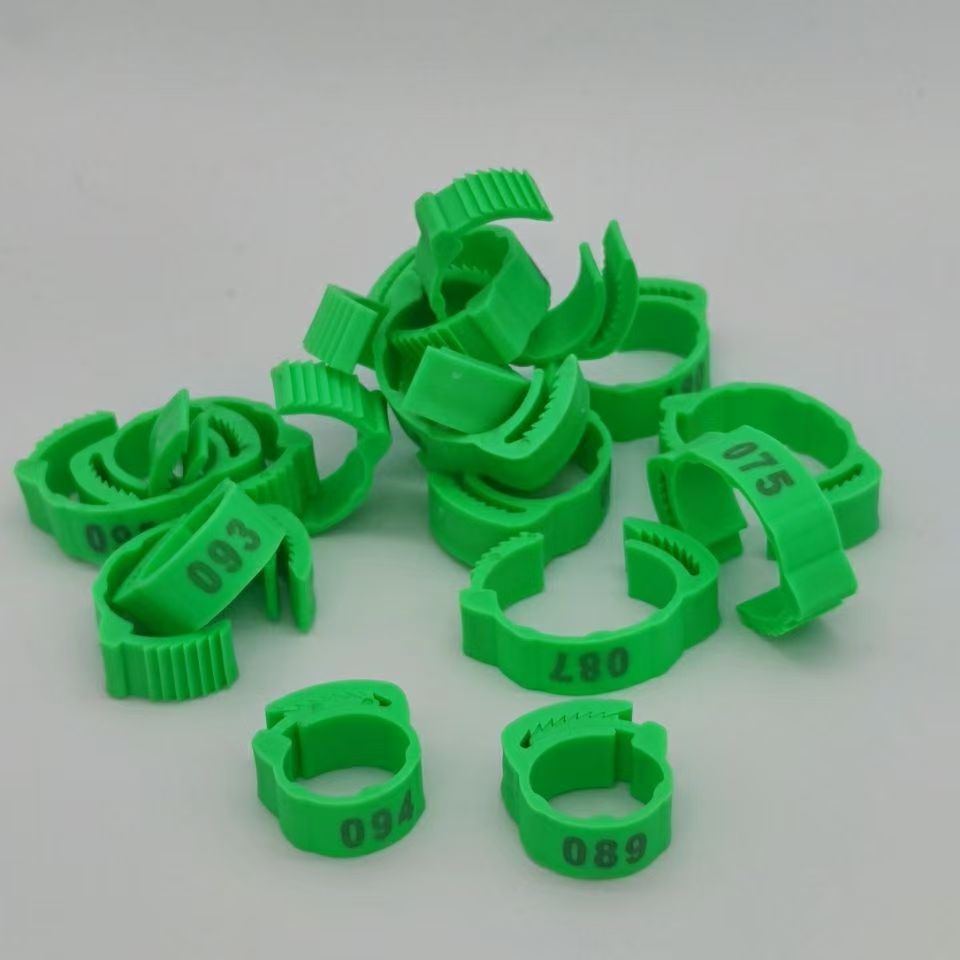 100pcs Chicken Foot Ring Label - Baby Food Label ulasan dan harga