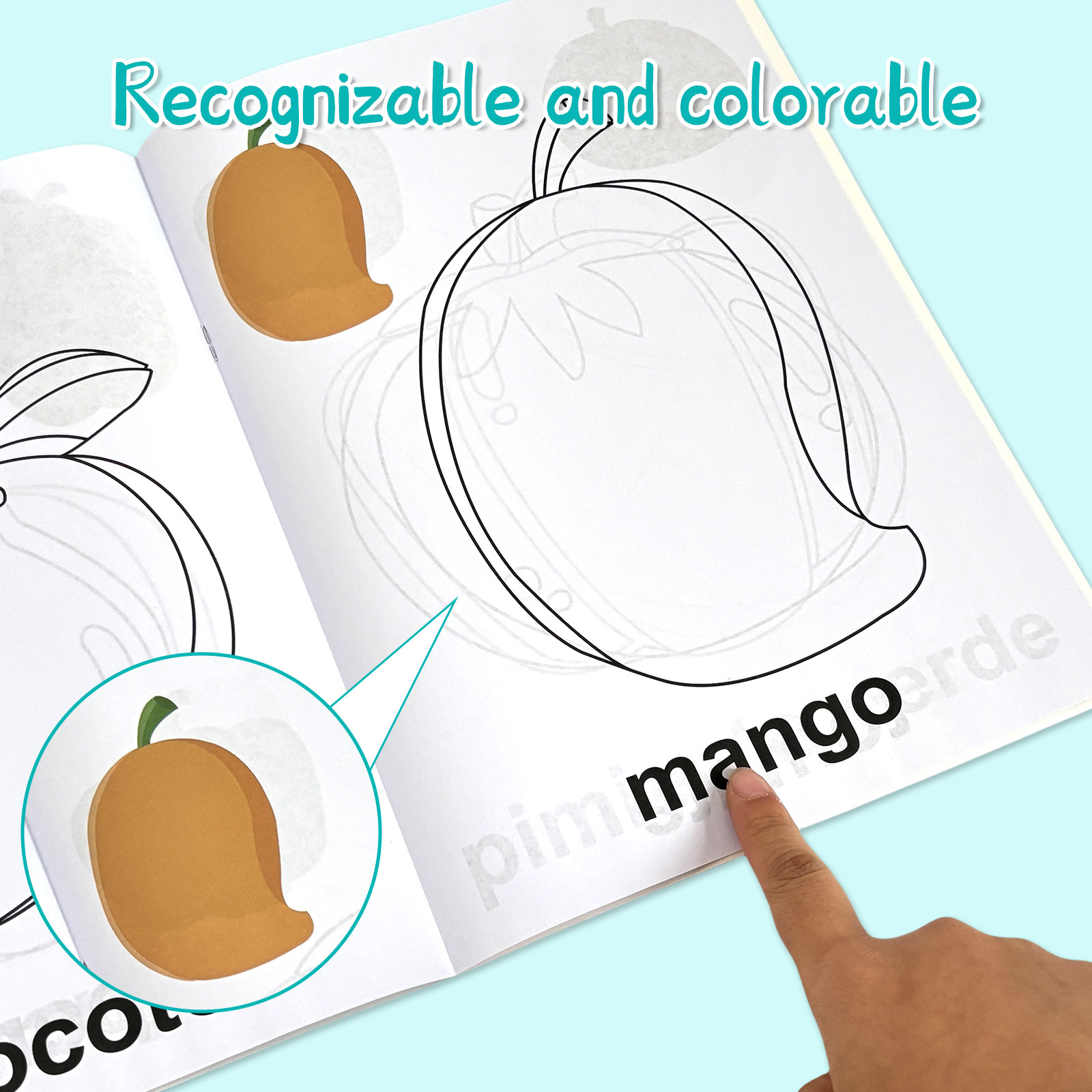 4 Pack Spanish Vocabulary Colo - Baby Food Year Old ulasan dan harga